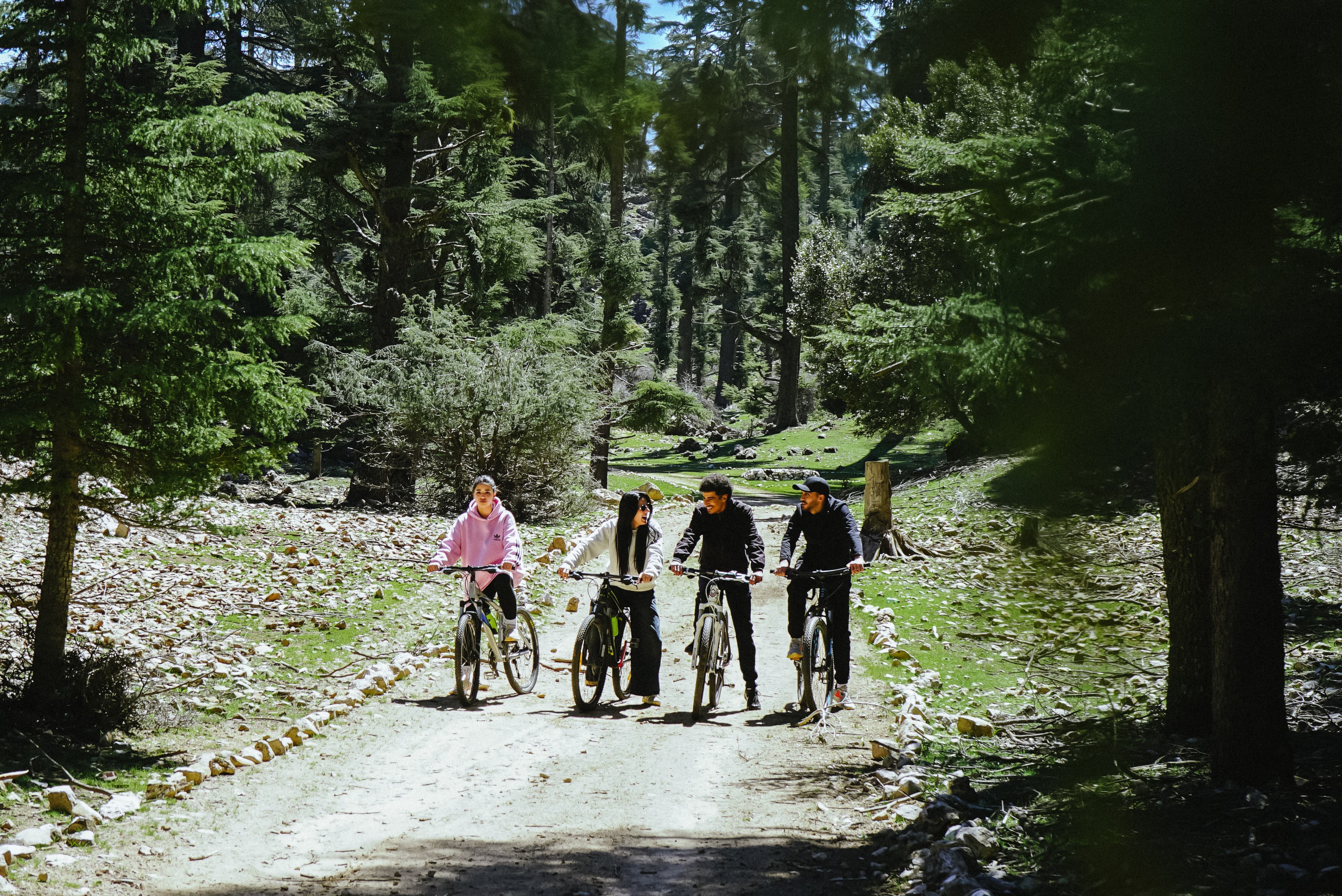 Mountain Biking