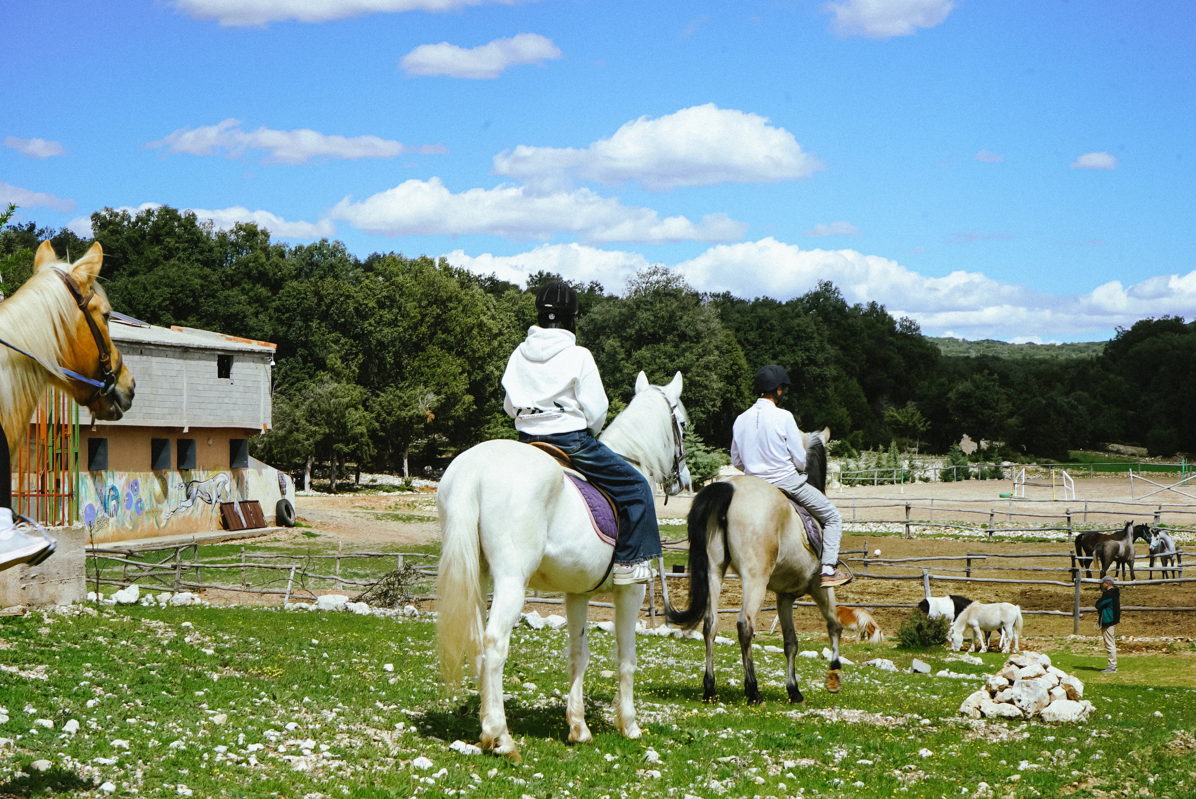 Horse Riding in Middle Atlas